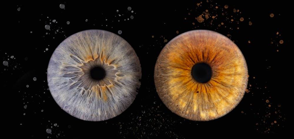 Site BlackEyes