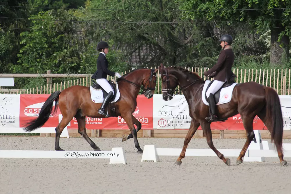 Equitation dressage Cluny OPV AFH copie