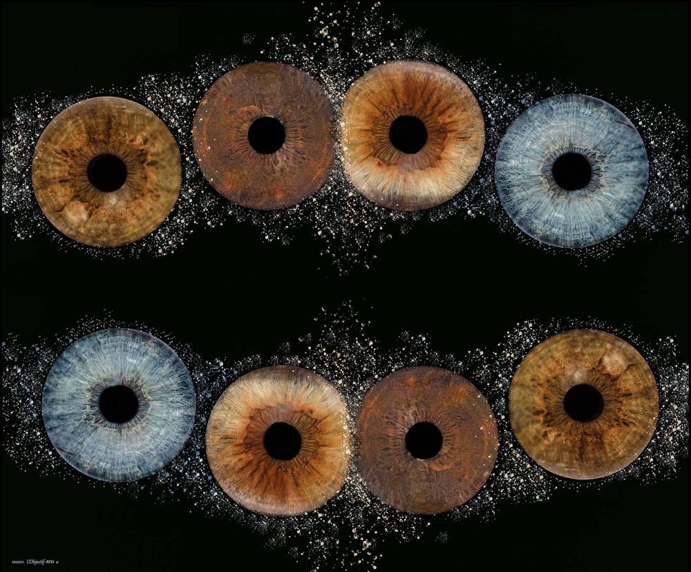 IRIS family copie