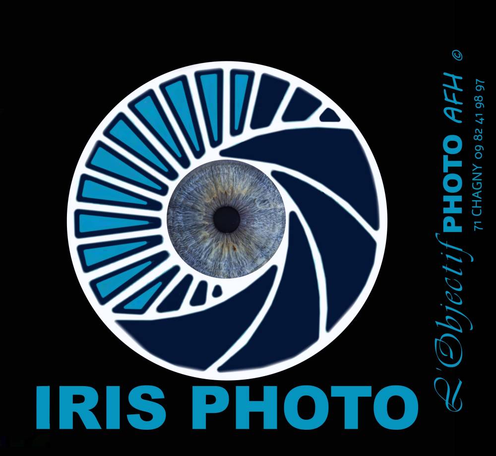 Logo iris pub rezo soc copie