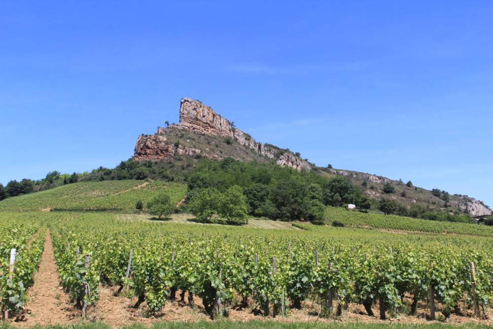 IMG_7446 copie