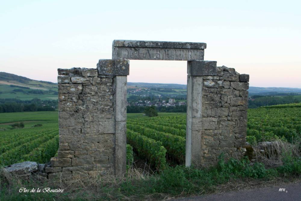 OPV AFH [C] Clos de la Boutiere copie